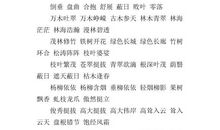 描写树的句子
