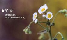 新的一天正能量句子 早安励志心语大全