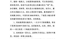 描写树的好词