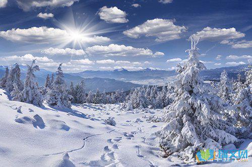 冬日的雪在天上飞舞