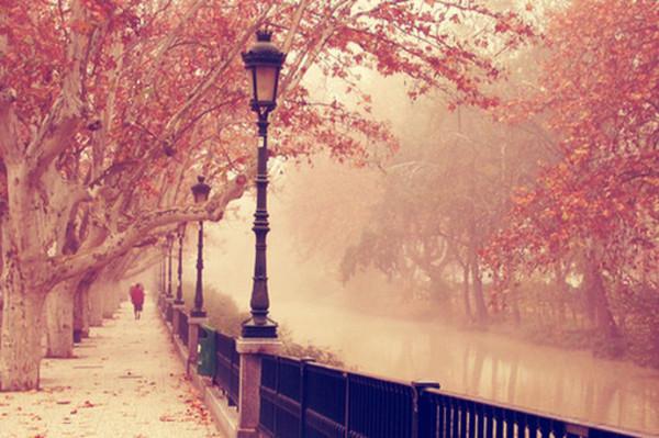    关于秋叶的优美句子  1