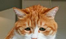 适合发朋友圈的不开心的句子