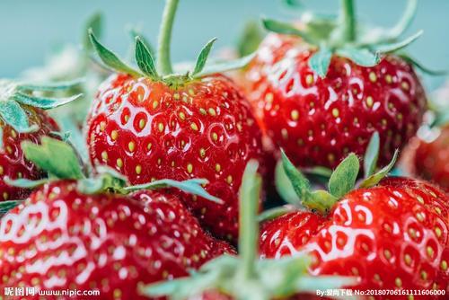 描述快乐的十二月的句子是什么