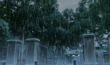 王安石的诗词名句