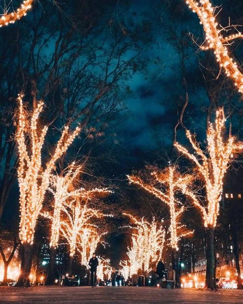 当微微的记忆变成悲伤的念头时