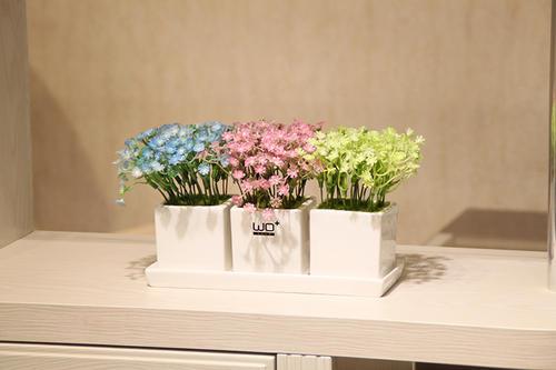 请享受编辑所组织的关于友谊