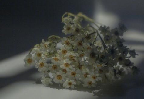 我们可以呼吸新鲜的空气