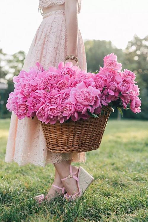 什么是快乐句子