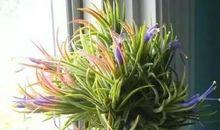 旅游玩的开心句子