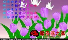 祝姐妹生日快乐的说说长点的