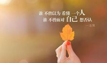 浪漫的爱情情感语录