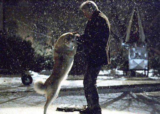 忠犬八公的经典台词 1