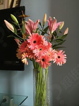 让我们看一下编辑器整理的略带高兴的句子的表达方式