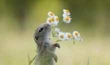 2019关于友情的诗词