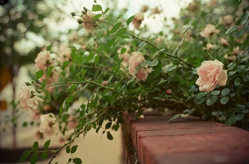 人们在生活中总是必须经历一些颠簸