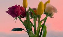 暗恋一个人心痛的句子