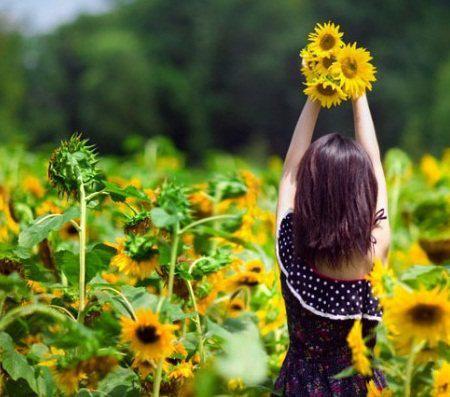 没有什么不能毁了