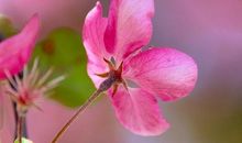 元气满满的阳光励志句子