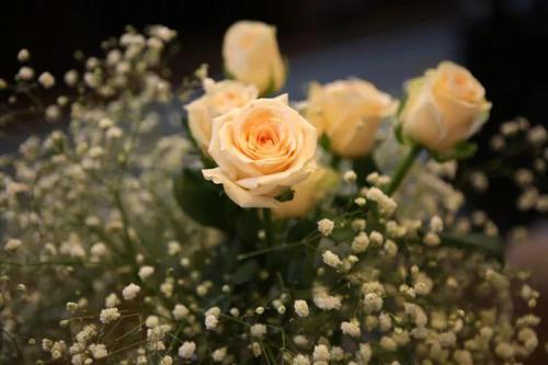 一个人最痛苦的时刻就是他受伤的时刻