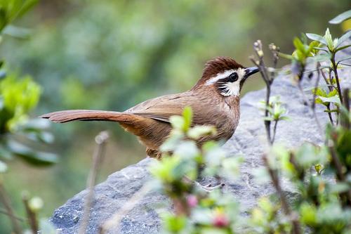 希望大家都喜欢 1