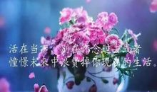 令人心碎的句子可复制