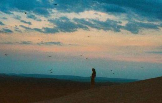 每个人总是向往爱