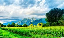 表现优美风景的词语