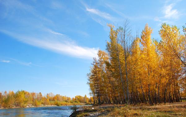 锻炼了我解决问题的能力