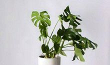 形容每天都不开心的句子