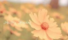 最让人心静的美妙句子