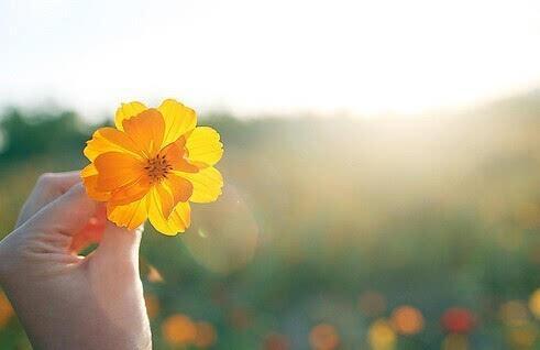 美好的英文句子 0