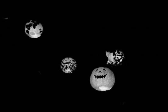 有多少人的故事以陌生人开始