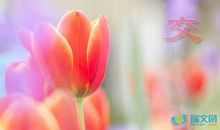 交朋友的句子50句