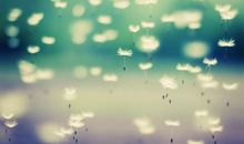 新年开心快乐的句子