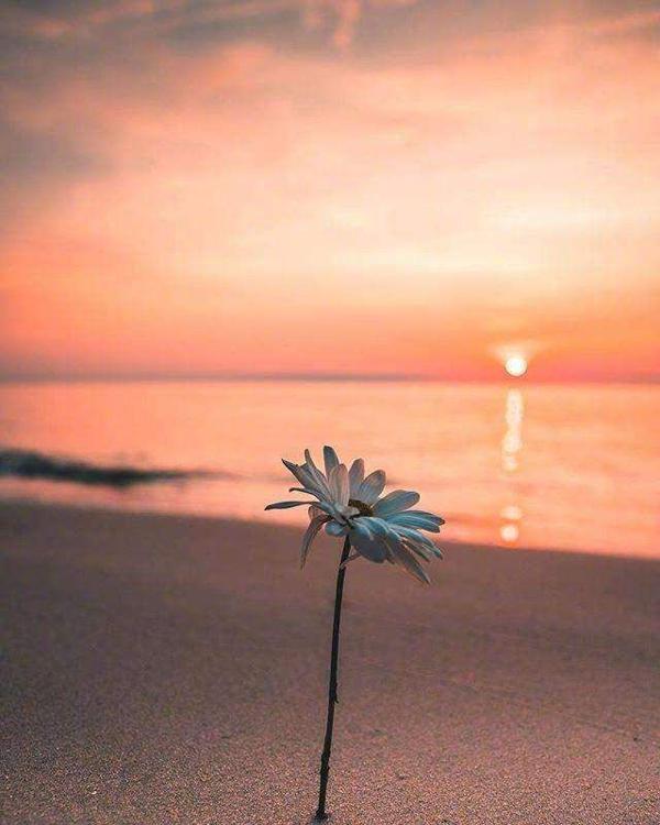 也不会改变原始的天真外观