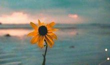 人生感悟的句子 心情短语