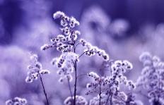 一个人最难过的时刻是他对母亲感到失望的那一刻