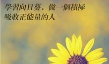 让男人女人心碎的句子