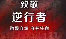 赞美武汉最美逆行者的句子 致敬逆行者的句子