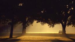 一个人最难过的时光是让他的亲人失望