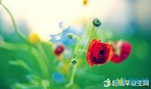 描写赞美春天美的句子