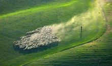 形容女孩子开心的句子