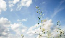 和暗恋的男神表白的句子 你想那个他吗