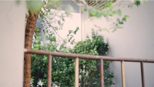 您的全部爱都无法展现