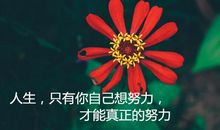 做强大的自己励志语录 鼓励自己内心强大的句子