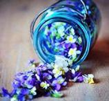 最可悲的是他感到失望和冷漠