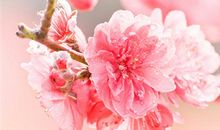 抗击疫情祝福祖国的一段话 祝福祖国抗击疫情的话