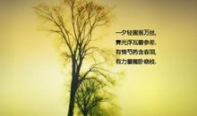 描写景色的诗句