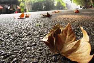    思考秋天的日子  1