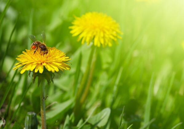 我希望从现在开始我能勇敢